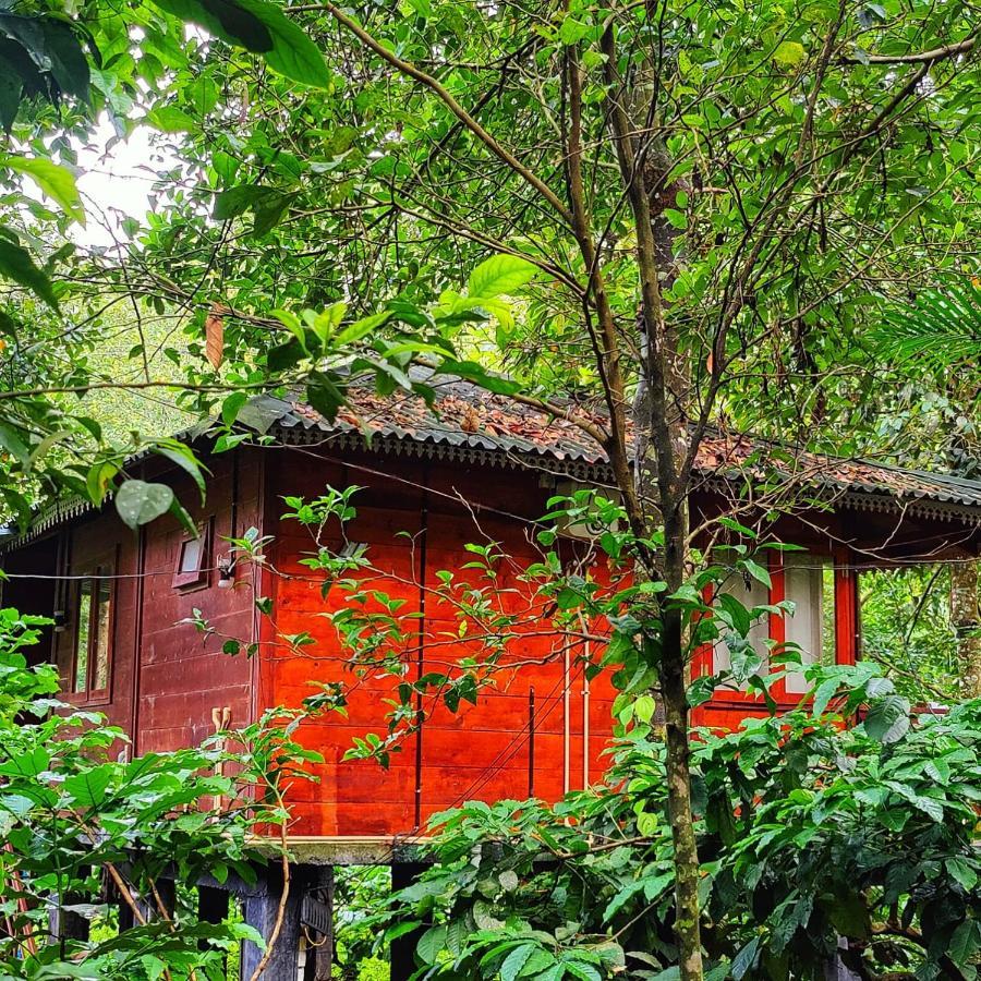 Vythiri Wood House Wayanad Villa Buitenkant foto